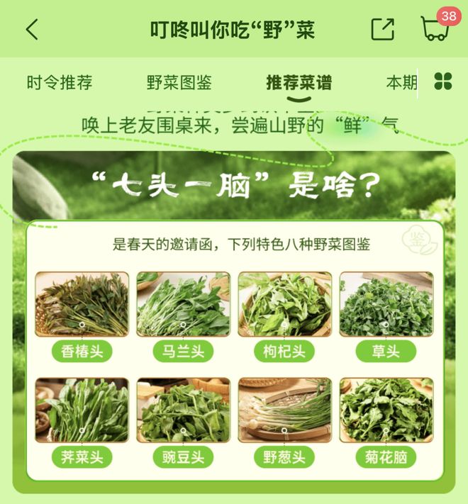源、高原春菜等小众你吃过几样？pg电子平台春菜正当鲜！药食同(图2)