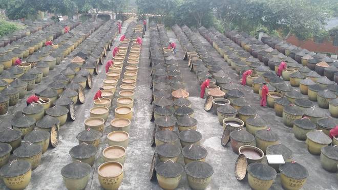 百年匠心酿岁月 薪火相传谱新篇pg电子模拟器试玩江津酿造：(图5)