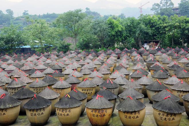 百年匠心酿岁月 薪火相传谱新篇pg电子模拟器试玩江津酿造：(图6)